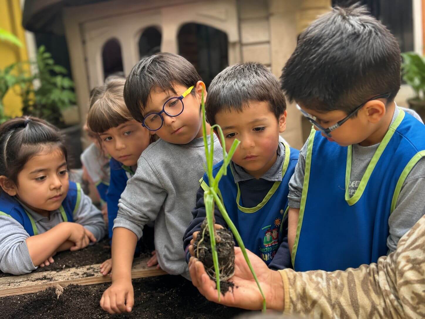 Niños y niñas participando en una actividad de escalada